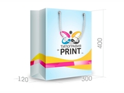 заказать печать Бумажный пакет тираж 500 штук вертикальный А3 формата , размер 300x400x120 мм, бумага 200 г/м² + с ламинацией, установка люверсов и ручки-шнурка